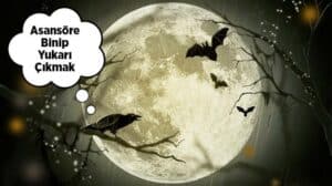 Rüyada asansöre binmek ve yukarı çıkmak, hayatınızdaki yükseliş ve başarıları