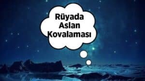 Rüyada aslan kovalaması ne anlama gelir? Bu kapsamlı rehberle rüyanızın