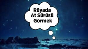 Rüyada at görmek ne anlama gelir? Bu makalede rüyada at