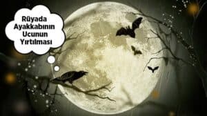 Rüyada yırtık ayakkabı görmek ne anlama gelir? Bu rüyanın olası