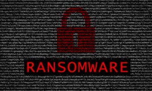 Explore strategies and solutions to combat the ever-evolving threat of