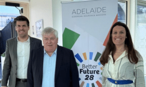 Adelaïde Grubu'nun 2024 finansal performansı ve stratejik gelişmeleriyle ilgili önemli