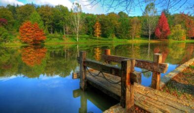 Atatürk Arboretumu Nerede? Atatürk Arboretumu’na Nasıl Gidilir? (2025)