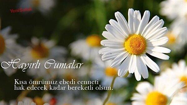 <b>Cuma Mesajları 2025</b>“></p>
<p>Gönüller duada birleşince <strong>Cumalar güzelleşir.</strong> HAYIRLI CUMALAR…</p>
<p><strong>Cuma gibi günümüz var.</strong> İslam gibi dinimiz var. Muhammed gibi sahimiz var. Allah dedim, dostum dedim, 99 ismine mühür vurdum, üstüne. <strong>Cumanız Mübarek Olsun.</strong></p>
<h2><span class=