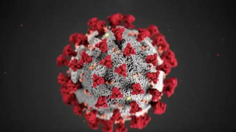 HPV Nedir? HPV’nin Gizemi: Vücutta Belirtileri ve Yayılımını Artıran Faktörler