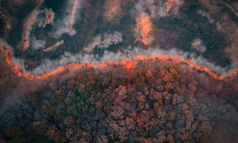 Innovative Wildfire Insurance Initiative by Willis and The Nature Conservancy