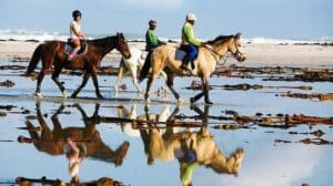 Explore the meanings and symbolism behind horse riding dreams, unveiling