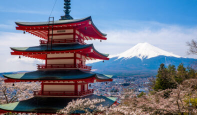 Japanese Insurers Expand Internationally to Counteract Domestic Market Stagnation