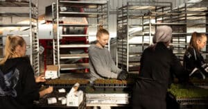 Explore strategies to thrive amid economic shifts in the greenhouse