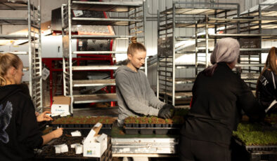 Navigating Economic Uncertainty in the Greenhouse Industry