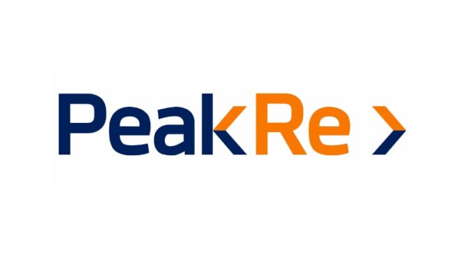Peak Re’nin 2024 Finansal Başarıları ve Gelecek Stratejileri