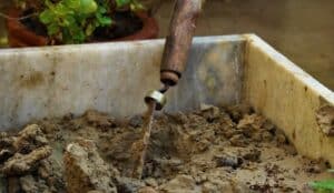 Rüyada ağaç dikmek, yeni başlangıçlar ve gelecekteki başarıların habercisi olarak