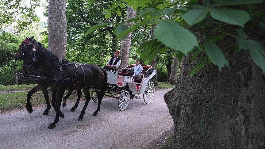 Rüyada at arabası görmek, eski zamanların gizemli yolculuğuna işaret eder.