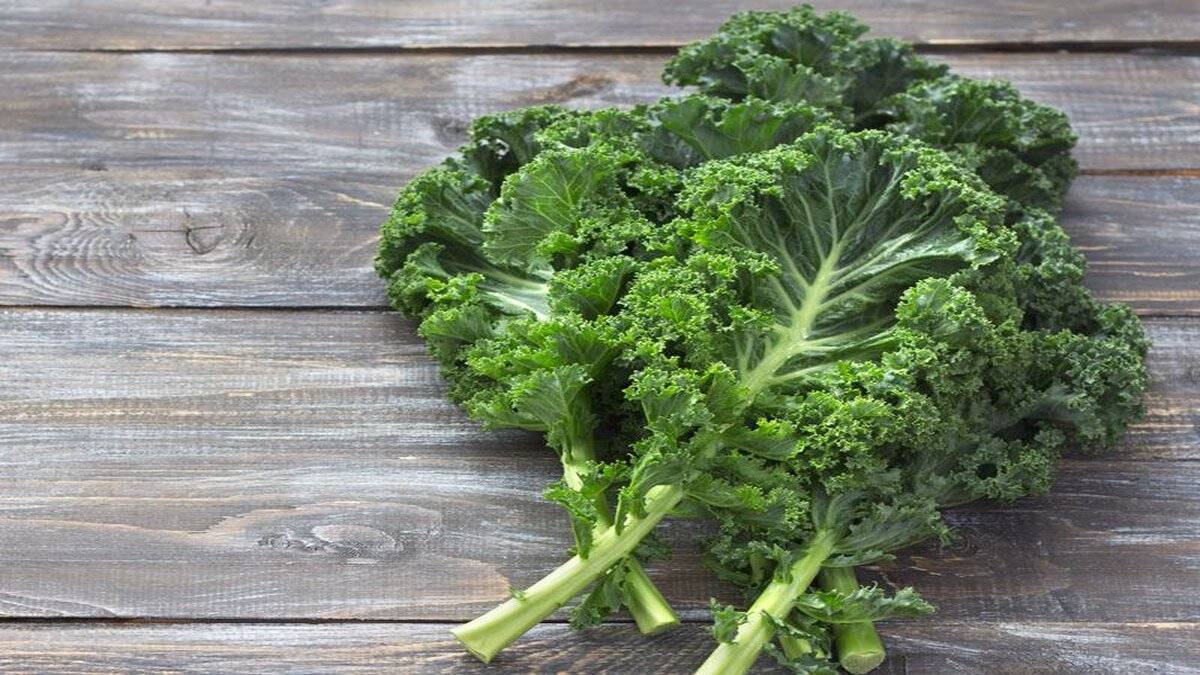 The Benefits of Kale: A Superfood for Modern Diets