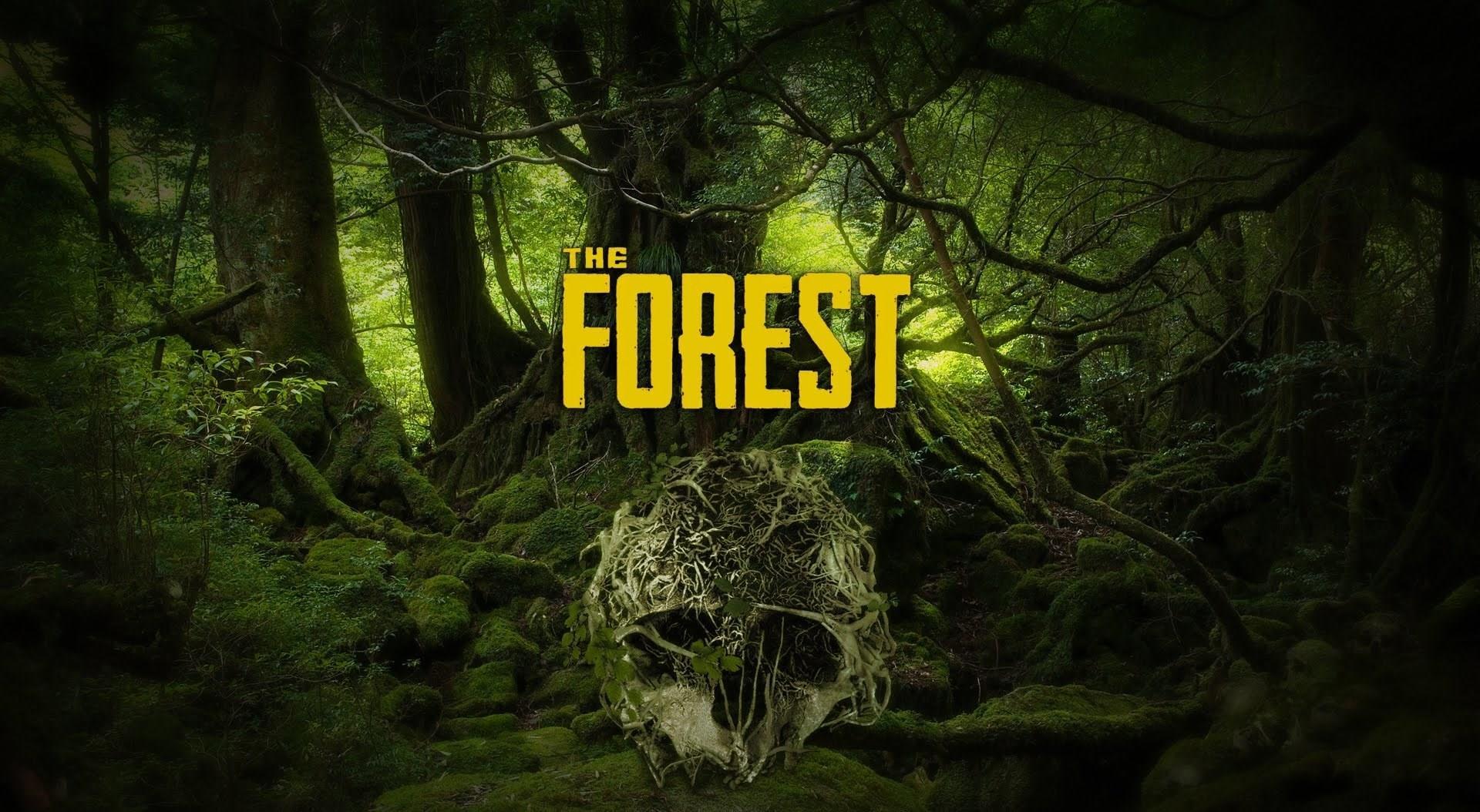 The Forest: Survival Game Cheats Guide