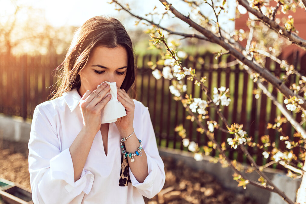 What is Spring Allergy?