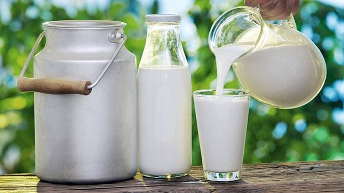 Understanding Raw Milk: Benefits, Risks, and Safe Consumption