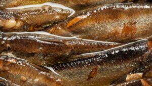 Explore the vital role of Vitamin B12 in health, its