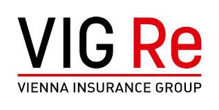 VIG Re’nin 2024 Finansal Performansı
