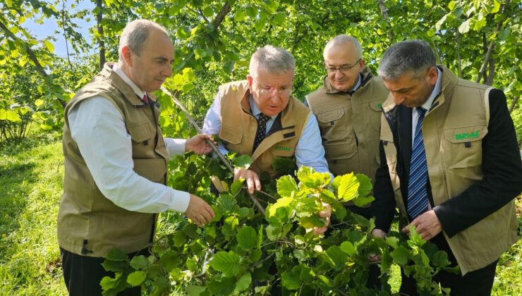 TARSİM Heyeti’nden Giresun ve Ordu’ya Ziyaret