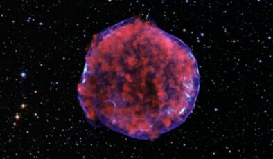 A Perfect Sphere in the Milky Way: The Enigmatic Teleios