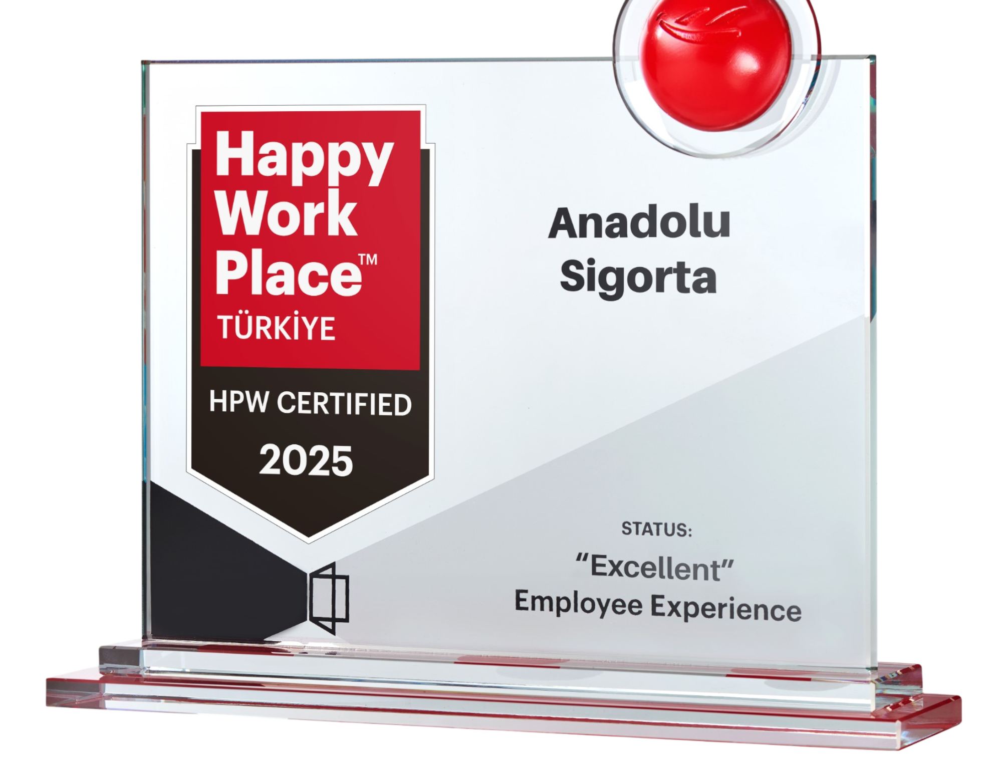 Anadolu Sigorta: Celebrating a Century with Excellence in Employee Experience