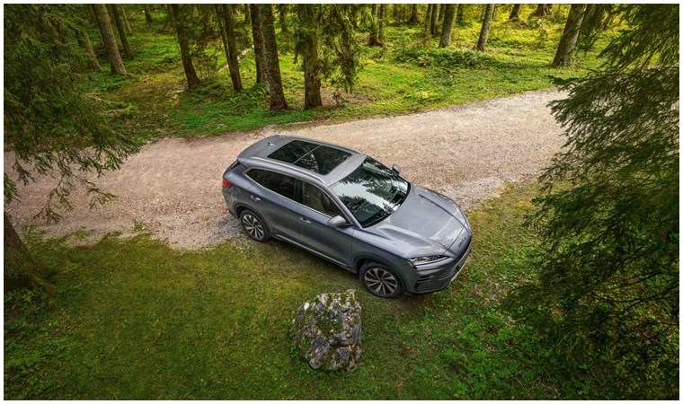 Comprehensive Safety Features