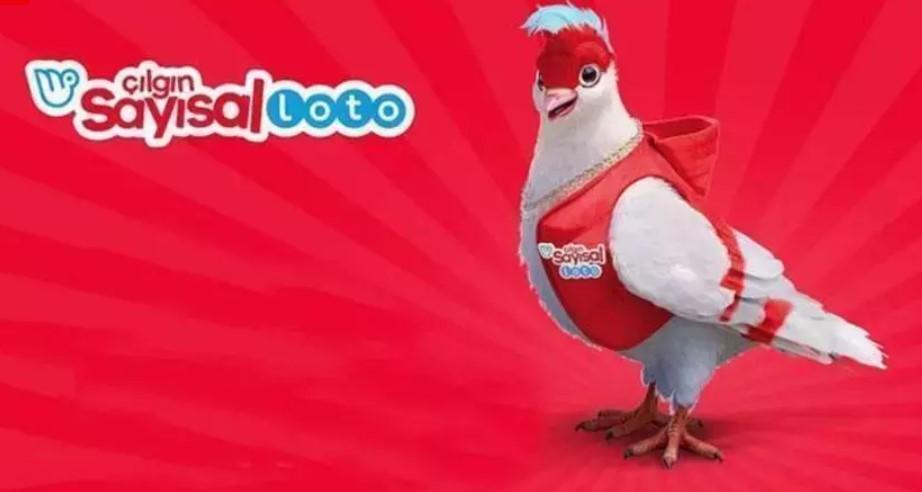 Çılgın Sayısal Loto Nasıl Oynanır?