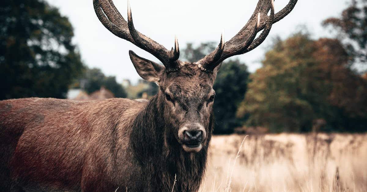 The Power of Giving: How Donations Shape Communities in the U.S.