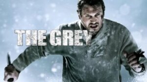 Gri Kurt filmi: etkileyici konusu, yıldız oyuncu kadrosu ve dikkat