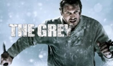 Gri Kurt Filmi: Konusu, Oyuncuları ve Çekim Detayları