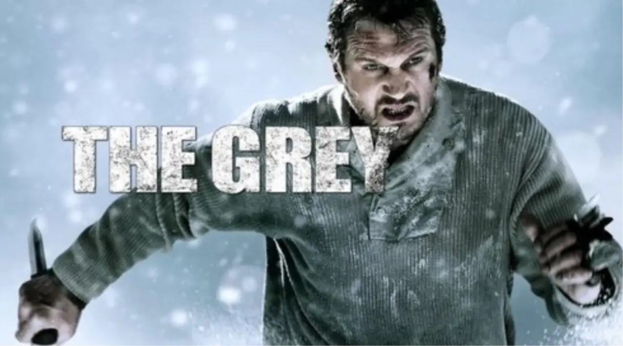 Gri Kurt Filmi: Konusu, Oyuncuları ve Çekim Detayları