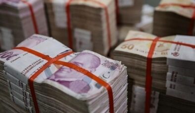 Hazine ve Maliye Bakanlığı’nın İç Borçlanma Stratejisi