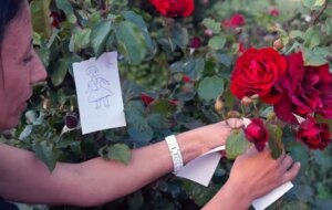 Hıdırellez'de dilek ve duaların anlamı, nasıl yapılacağı hakkında bilgi edinin.