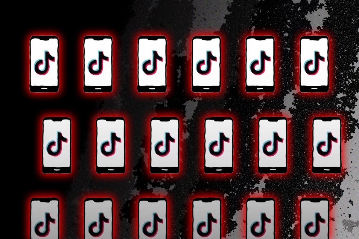 Increased Pressure on TikTok from Western Nations