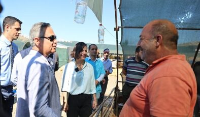 Karabağlar’da Modern Kurban Satış ve Kesim Alanı Hizmete Girdi