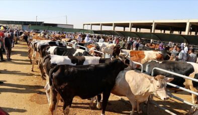 Kurban İbadeti: Kimler Kurban Kesmekle Yükümlüdür?