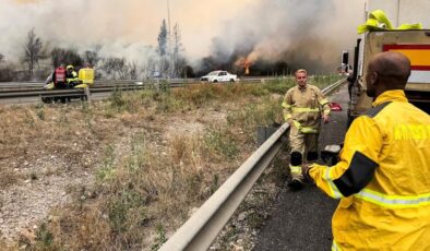Massive Forest Fires in Israel: One of the Largest in History