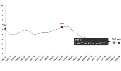 Nisan 2025 Yurt İçi Üretici Fiyat Endeksi Raporu