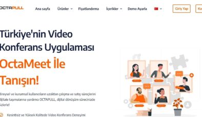 OCTAPULL and ALPATA Group’s Strategic AI Investment in 2025