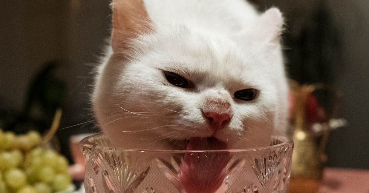 Tongue discoloration might seem trivial, yet it reveals significant clues