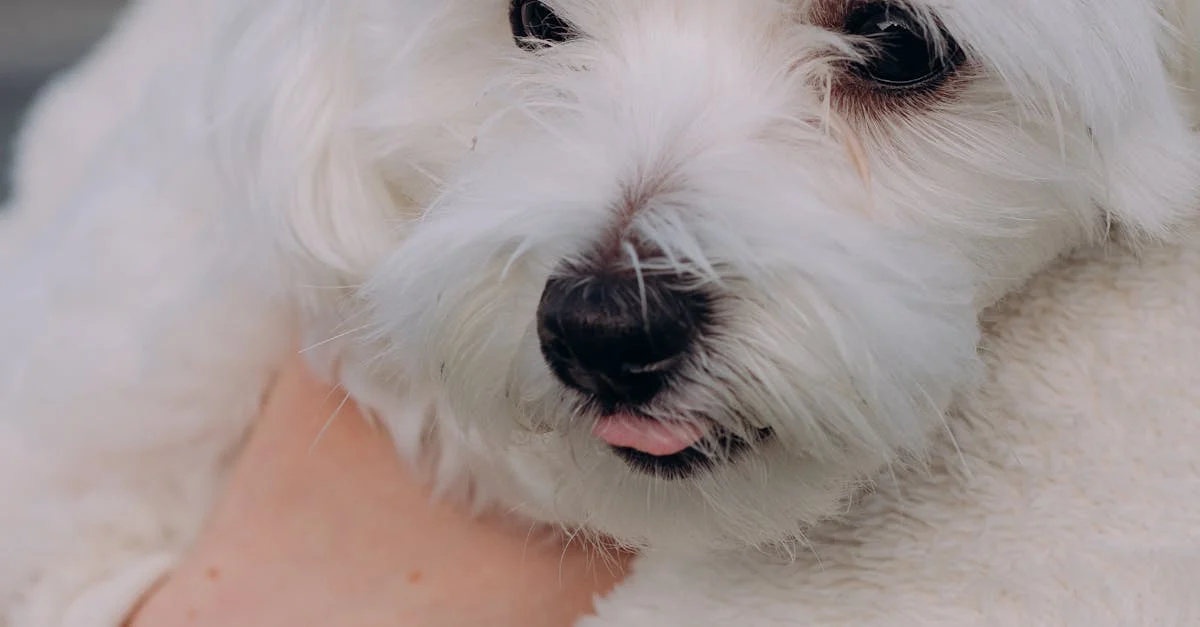 tongue-discoloration-809.jpeg
