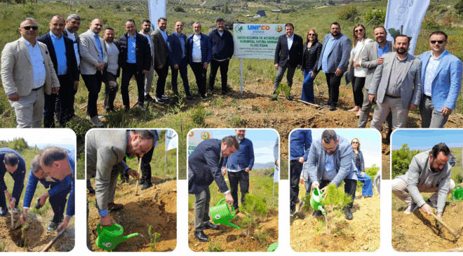 Unico Sigorta ve Ege Orman Vakfı İş Birliği: 10.000 Fidanlık Hatıra Ormanı