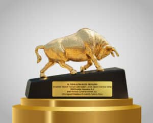 Discover how BNP Paribas Cardif Emeklilik's OKS Aggressive Variable Fund