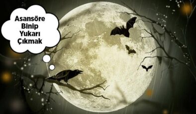 Dream Interpretation: Ascending in an Elevator