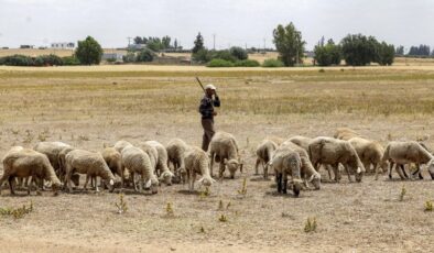 Eid al-Adha Celebrated with Enthusiasm in Morocco Despite Restrictions