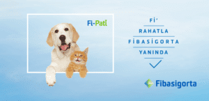 Discover Fi-Pati by Fibasigorta, the latest in pet insurance innovation,