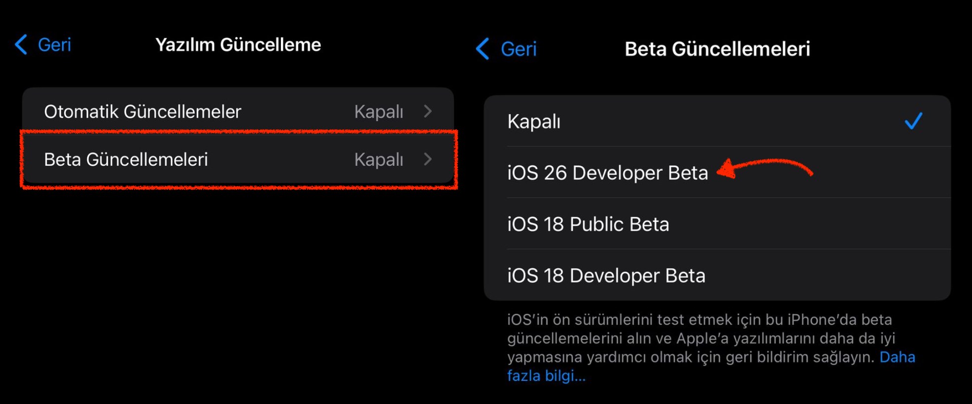 Step-by-Step Guide to Download and Install iOS 26 Developer Beta