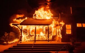 Kaliforniya'da değerli koleksiyonlarınızı koruyun. Orman yangını sigortası ile güvence sağlayın.