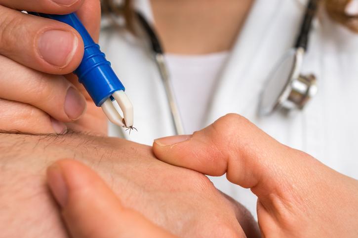 Keneler ve Tehlikeleri: Yaz Mevsiminde Dikkat Edilmesi Gerekenler